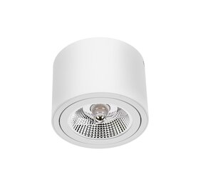 Spectrum voor de installateur LED Plafondspot CHLOE - GU10 AR111 - excl. LED spot - Wit rond
