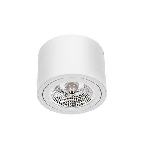 Spectrum voor de installateur LED Plafondspot CHLOE - GU10 AR111 - excl. LED spot - Wit rond