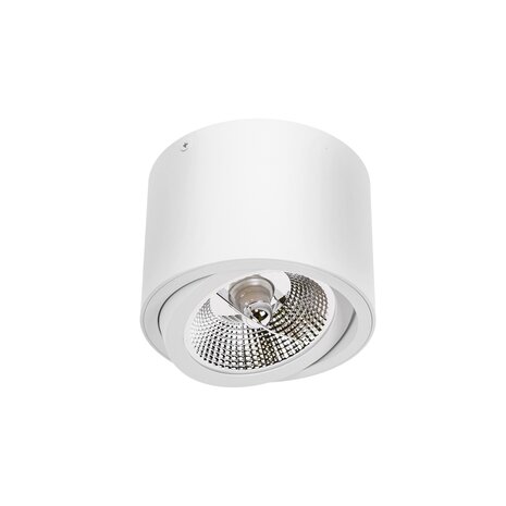 Spectrum voor de installateur LED Plafondspot CHLOE - GU10 AR111 - excl. LED spot - Wit rond