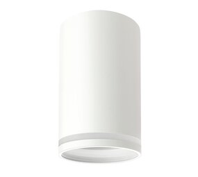 Spectrum voor de installateur LED plafondspot CHLOE RING - 1x GU10 aansluiting - Mat wit