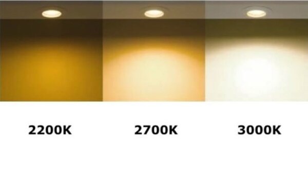 LCB LED Europe  Dimbare LED spot - GU10 3W - 2700K warm wit licht - Glazen behuizing