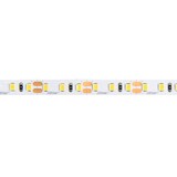 LED Strip 5 meter - 600 SMD2835 - Lichtkleur optioneel - 9,6W - 12V