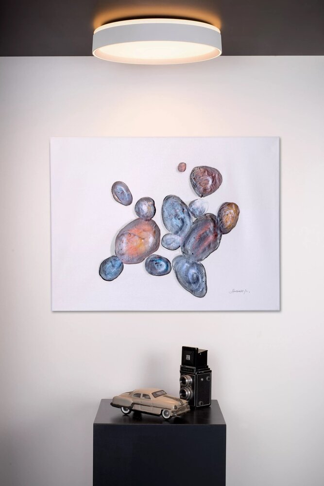 Lucide LED plafonnire NURIA - ¯40cm - 24W - 2700K warm wit licht - 3 Staps dim - Wit Lucide LED plafonnire NURIA - ¯40cm - 24W - 2700K warm wit licht - 3 Staps dim - Wit