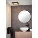 Lucide LED plafonnire Badkamer - Dimbaar - 1x20W - 3000K - IP44 - Zwart Lucide LED plafonnire Badkamer - Dimbaar - 1x20W - 3000K - IP44 - Zwart