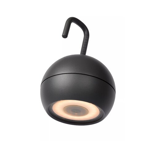 LED Hanglamp SPHERE - 2W - 2700K warm wit licht - ¯102mm - 3 stap dimbaar - IP54 - Antraciet
