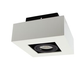 Spectrum voor de installateur LED Plafondspot MIRORA – Kantelbaar – GU10 Fitting – Aluminium – 10W Max – IP20