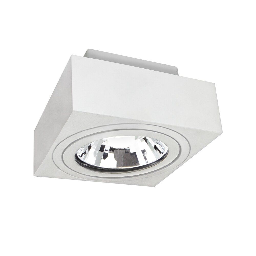 Spectrum voor de installateur LED Plafondspot MIRORA - 1xGU10 AR111 fitting - Kantelbaar - Wit