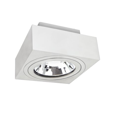 Spectrum voor de installateur LED Plafondspot MIRORA - 1xGU10 AR111 fitting - Kantelbaar - Wit