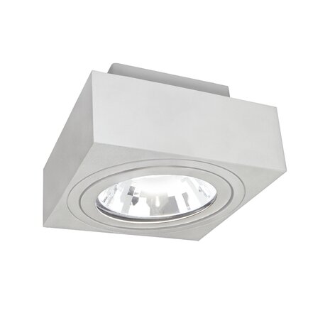 Spectrum voor de installateur LED Plafondspot MIRORA - 1xGU10 AR111 fitting - Kantelbaar - Wit