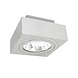Spectrum voor de installateur LED Plafondspot MIRORA - 1xGU10 AR111 fitting - Kantelbaar - Wit