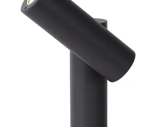 Lucide TATUM - Tuinspot Buiten - LED - 1x4,5W 3000K - IP65 - Antraciet