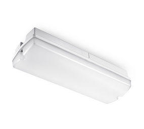 LCB LED Europe  LED Portieklamp Opaal Armatuur - IP66 - 4W-8W Multi Lumen Switch - CCT 830-840-865 Multi color Switch | 352 x 110MM  - Schemersensor