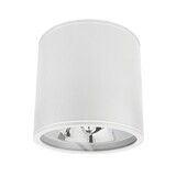 Spectrum voor de installateur: Betaalbare kwaliteit en veelzijdige LED-oplossingen LED Plafondspot CHLOE - GU10 AR111 - IP44 - excl. LED spot - Wit rond