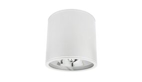 Spectrum voor de installateur LED Plafondspot CHLOE - GU10 AR111 - IP44 - excl. LED spot - Wit rond