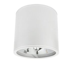 Spectrum voor de installateur LED Plafondspot CHLOE - GU10 AR111 - IP44 - excl. LED spot - Wit rond