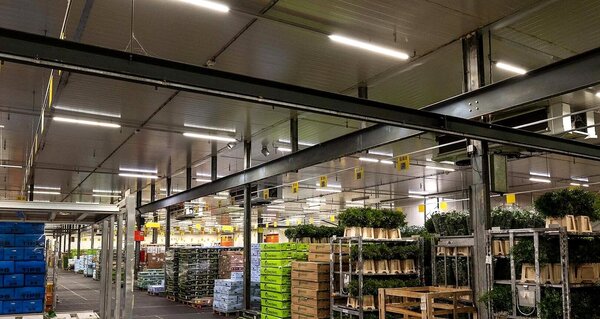 Spectrum voor de installateur LED Montagebalk IP65 - 150cm - Limea Gigant - 52W 8892Lm - 4000K 840 Helder wit | IK10 - 5 jaar garantie Spectrum voor de installateur LED Montagebalk IP65 - 150cm - Limea Gigant - 52W 8892Lm - 4000K 840 Helder wit | IK10 - 5 jaar garantie