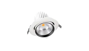 Ledvance Zakelijk: Professionele LED Verlichting & Armaturen | voor de installateur LED Downlight Kantelbaar - Bananenspot Vario 180MM - Wit - 35W 3350 Lm - 3000K 830 Warm Wit | 24  Stralingshoek - Zaagmaat 170MM