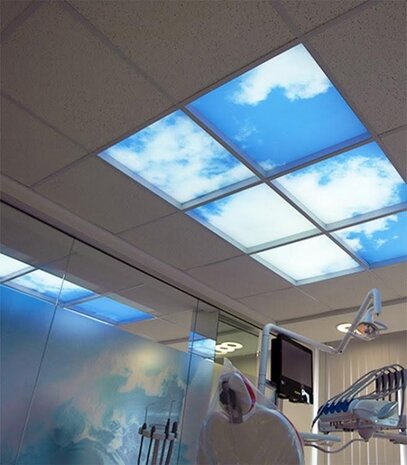 LCB LED FOTOPRINT AFBEELDING WOLK | VERDEELD OVER 6 PANELEN | 595 X 595 MM excl. ledpanelen LCB LED FOTOPRINT AFBEELDING WOLK | VERDEELD OVER 6 PANELEN | 595 X 595 MM excl. ledpanelen