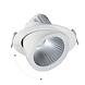 Spectrum voor de installateur LED Downlight banaanspot - Wit - SAL 2 - 10W 150Lm / W - 830 3000K - Kantelbaar - Zaagmaat 175mm - Buitenmaat 187mm