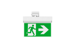 LED Spanningsrail 3F Noodarmatuur - 1W 100Lm  | Wit - Noodvluchtweg aanduiding - Incl. Pictogram LED Spanningsrail 3F Noodarmatuur - 1W 100Lm  | Wit - Noodvluchtweg aanduiding - Incl. Pictogram