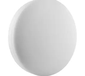 Ledvance Zakelijk: Professionele LED Verlichting & Armaturen LED Wand/ Plafondlamp Bulkhead Surface - Wit - IP65 Ø300MM - 24W 1800Lm - 3000k 830 Warm wit | IK10