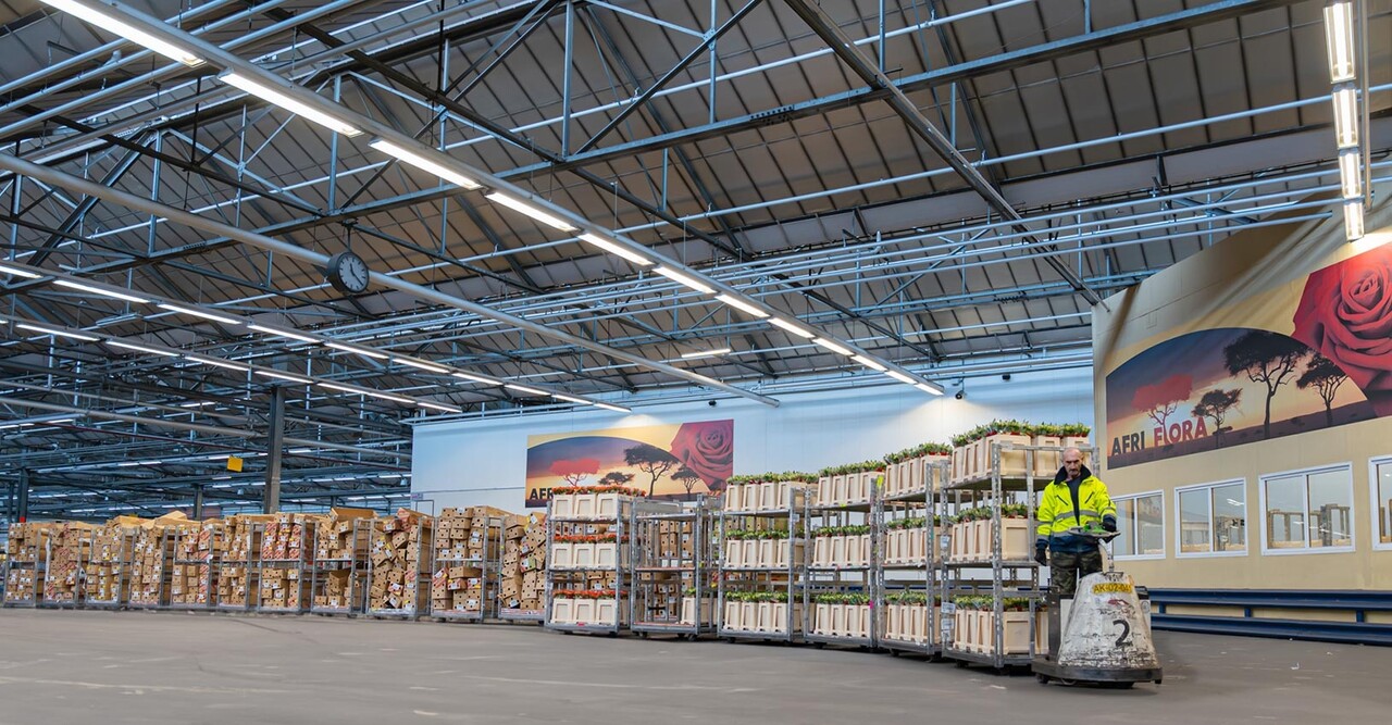 Spectrum LED Montagebalk IP65 - 150cm - Limea Gigant - 52W 8892Lm - 4000K 840 Helder wit | IK10 - 5 jaar garantie Spectrum LED Montagebalk IP65 - 150cm - Limea Gigant - 52W 8892Lm - 4000K 840 Helder wit | IK10 - 5 jaar garantie