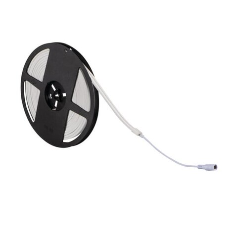 LCB LED Europe LED Neon Strip IP68 - 24V Lichtslang Neonflex - 72W 690Lm - 14.4W/M - 6000K 865 Koud Wit | Side bend LCB LED Europe LED Neon Strip IP68 - 24V Lichtslang Neonflex - 72W 690Lm - 14.4W/M - 6000K 865 Koud Wit | Side bend
