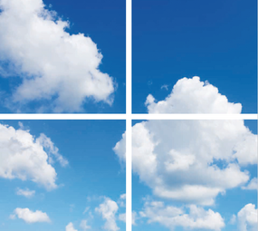 LCB LED Europe  FOTOPRINT AFBEELDING WOLK | VERDEELD OVER 4 PANELEN | 595 X 595 MM excl. ledpanelen