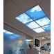 LCB LED Europe  FOTOPRINT AFBEELDING WOLK | VERDEELD OVER 12 PANELEN | 595 X 595 MM excl. ledpanelen