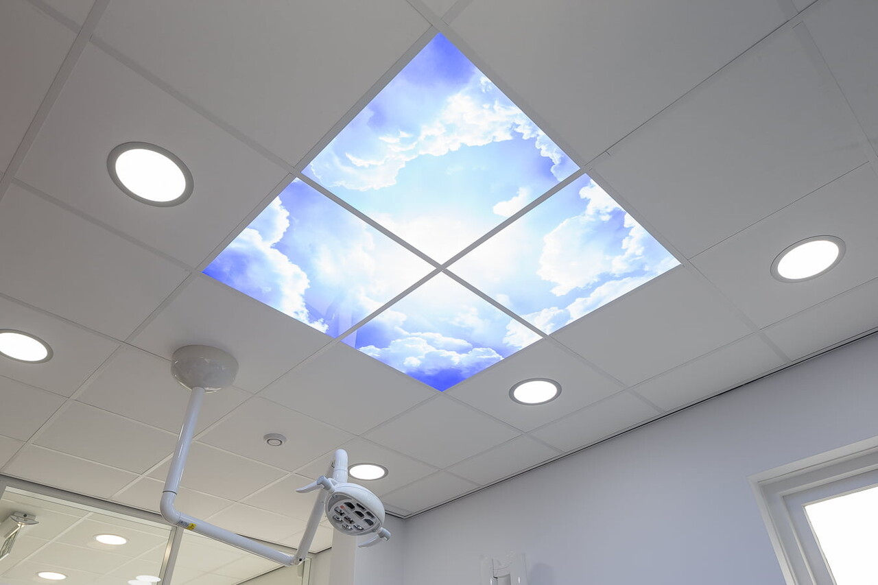 LCB LED Europe  FOTOPRINT AFBEELDING WOLK | VERDEELD OVER 12 PANELEN | 595 X 595 MM excl. ledpanelen