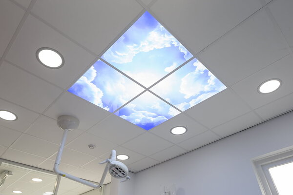 LCB LED Europe  FOTOPRINT AFBEELDING WOLK | VERDEELD OVER 12 PANELEN | 595 X 595 MM excl. ledpanelen