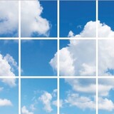 LCB LED Europe  FOTOPRINT AFBEELDING WOLK | VERDEELD OVER 12 PANELEN | 595 X 595 MM excl. ledpanelen