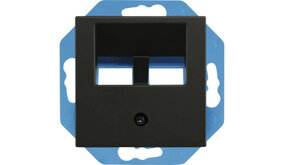 ION INDUSTRIES Modular Jack 30° 2-voudig met Centraalplaat V1/J1  UTP/coax | Mat Zwart ION INDUSTRIES Modular Jack 30° 2-voudig met Centraalplaat V1/J1  UTP/coax | Mat Zwart