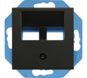 ION INDUSTRIES Modular Jack 30° 2-voudig met Centraalplaat V1/J1  UTP/coax | Mat Zwart