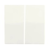 ION INDUSTRIES Bedieningswip | Serieschakelaar V1/J1 Mat Alpin Wit | IP20