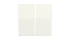 ION INDUSTRIES Bedieningswip | Serieschakelaar V1/J1 Mat Alpin Wit | IP20 ION INDUSTRIES Bedieningswip | Serieschakelaar V1/J1 Mat Alpin Wit | IP20