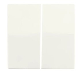 ION INDUSTRIES Bedieningswip | Serieschakelaar V1/J1 Mat Alpin Wit | IP20