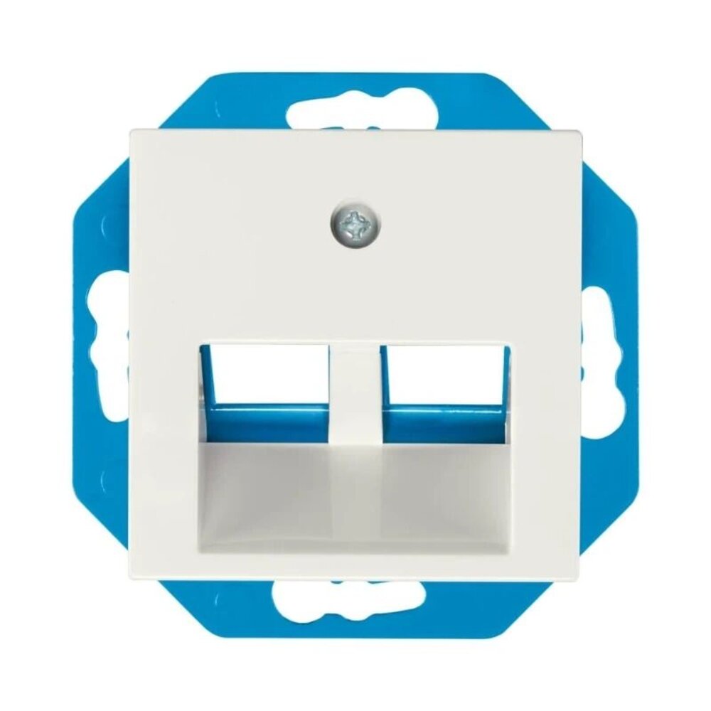 ION INDUSTRIES Modular Jack 30° 2-voudig met Centraalplaat V1/J1  UTP/coax | Alpin Wit ION INDUSTRIES Modular Jack 30° 2-voudig met Centraalplaat V1/J1  UTP/coax | Alpin Wit