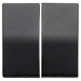 ION INDUSTRIES V1/J1 opzetwip serie/wissel-wissel - Mat Zwart