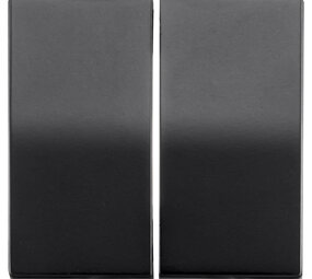 ION INDUSTRIES V1/J1 opzetwip serie/wissel-wissel - Mat Zwart