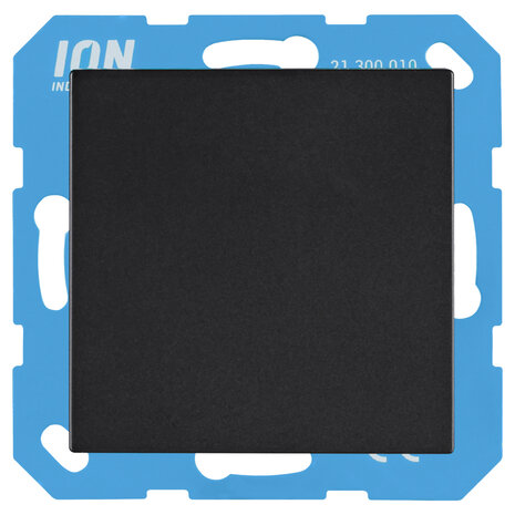 ION INDUSTRIES Blindplaat - V1/J1  - Mat Zwart