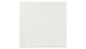 ION INDUSTRIES V1/J1 opzetwip wissel/kruis/impuls - Alpin wit ION INDUSTRIES V1/J1 opzetwip wissel/kruis/impuls - Alpin wit