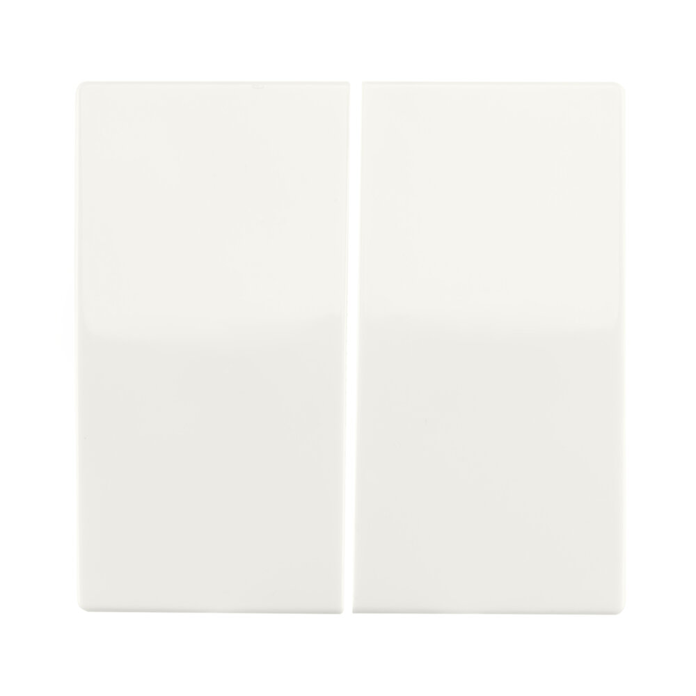 ION INDUSTRIES Bedieningswip Dubbel - wissel/kruis/impuls | Alpin wit Glanzend - V1/J1 - type 66.006.04 ION INDUSTRIES Bedieningswip Dubbel - wissel/kruis/impuls | Alpin wit Glanzend - V1/J1 - type 66.006.04