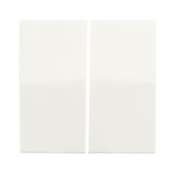 ION INDUSTRIES Bedieningswip Dubbel - wissel/kruis/impuls | Alpin wit Glanzend - V1/J1 - type 66.006.04