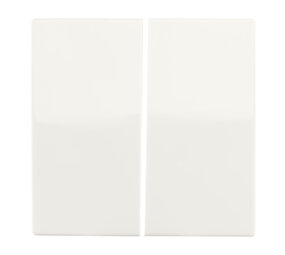 ION INDUSTRIES Bedieningswip Dubbel - wissel/kruis/impuls | Alpin wit Glanzend - V1/J1 - type 66.006.04