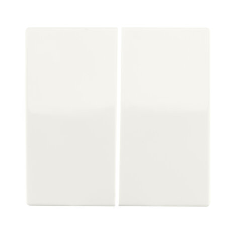 ION INDUSTRIES Bedieningswip Dubbel - wissel/kruis/impuls | Alpin wit Glanzend - V1/J1 - type 66.006.04 ION INDUSTRIES Bedieningswip Dubbel - wissel/kruis/impuls | Alpin wit Glanzend - V1/J1 - type 66.006.04