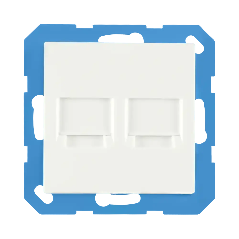 ION INDUSTRIES Modular Jack 2-voudig met Centraalplaat V1/J1 | Alpin Wit