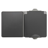 ION INDUSTRIES Combinatie spatwaterdicht - opbouw - wissel - randaarde - IP55 - grijs