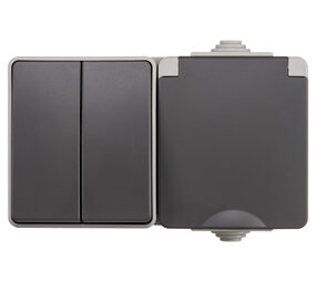 ION INDUSTRIES Combinatie spatwaterdicht - opbouw - serie - randaarde - IP55 - grijs