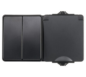 ION INDUSTRIES Combinatie spatwaterdicht - opbouw - serie - randaarde - IP55 - zwart